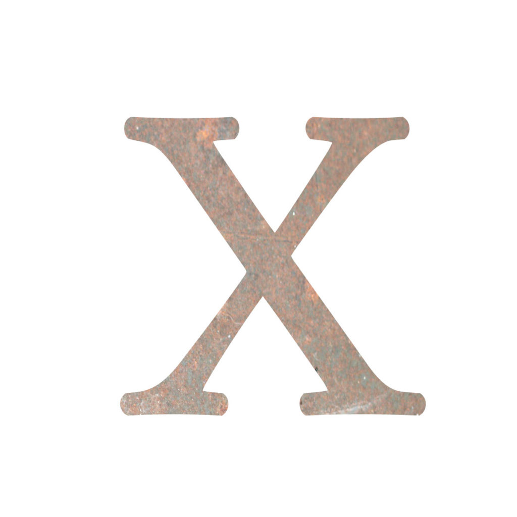 ihoneX